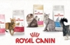 Asortiman i sastav royal canin hrane za mačke