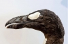 Wingless auk