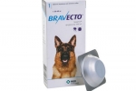 Bravecto za pse: tablete i kapi